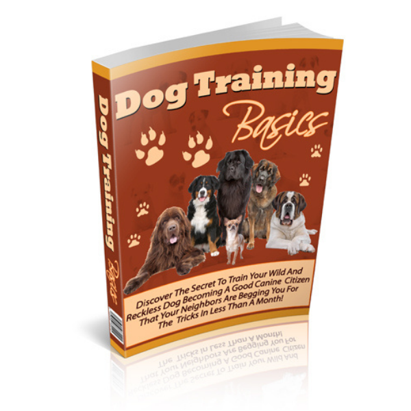 Dog Training Basic