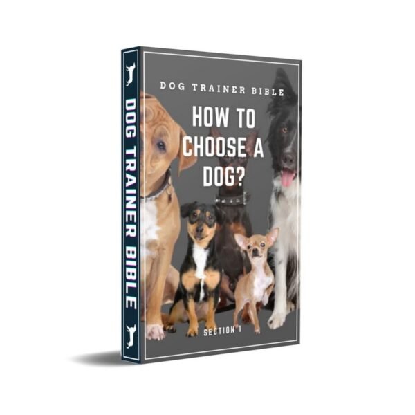 Dog Trainer Bible Section-1