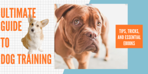 Read more about the article The Ultimate Guide to Dog Training: Tips, Tricks, and Essential eBooks